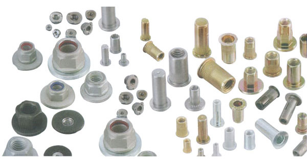 紙盒成型機 紙盒成型機